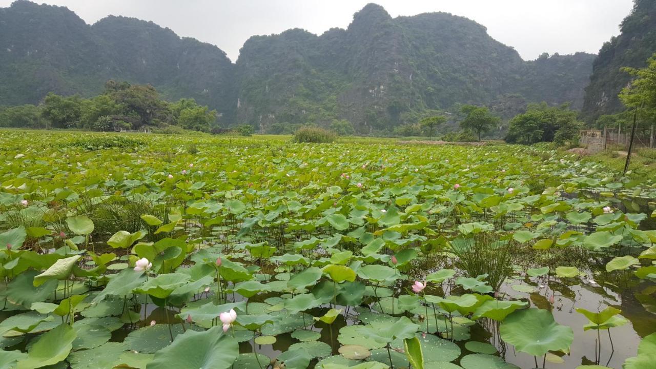 Hoalu Ecolodge Homestay Ninh Bình Extérieur photo