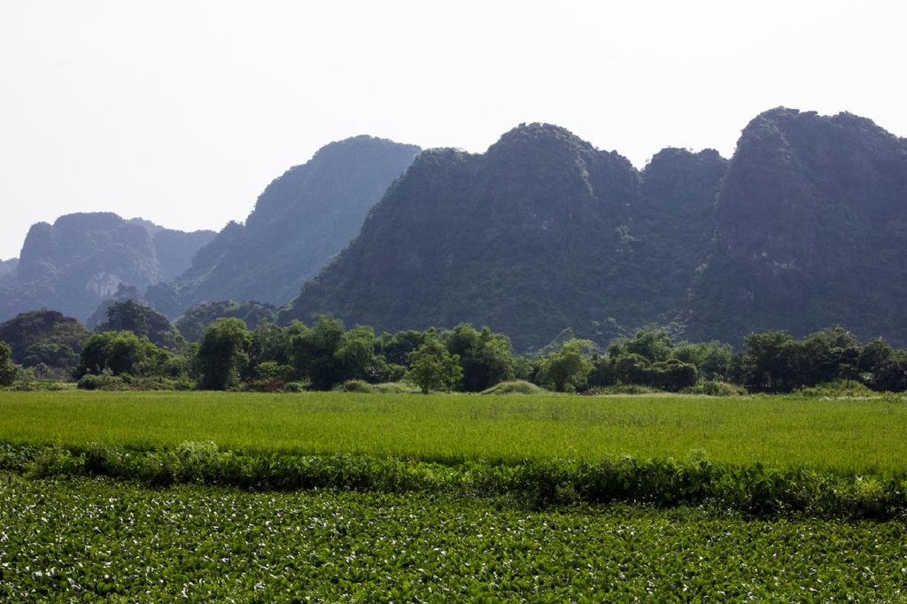 Hoalu Ecolodge Homestay Ninh Bình Extérieur photo